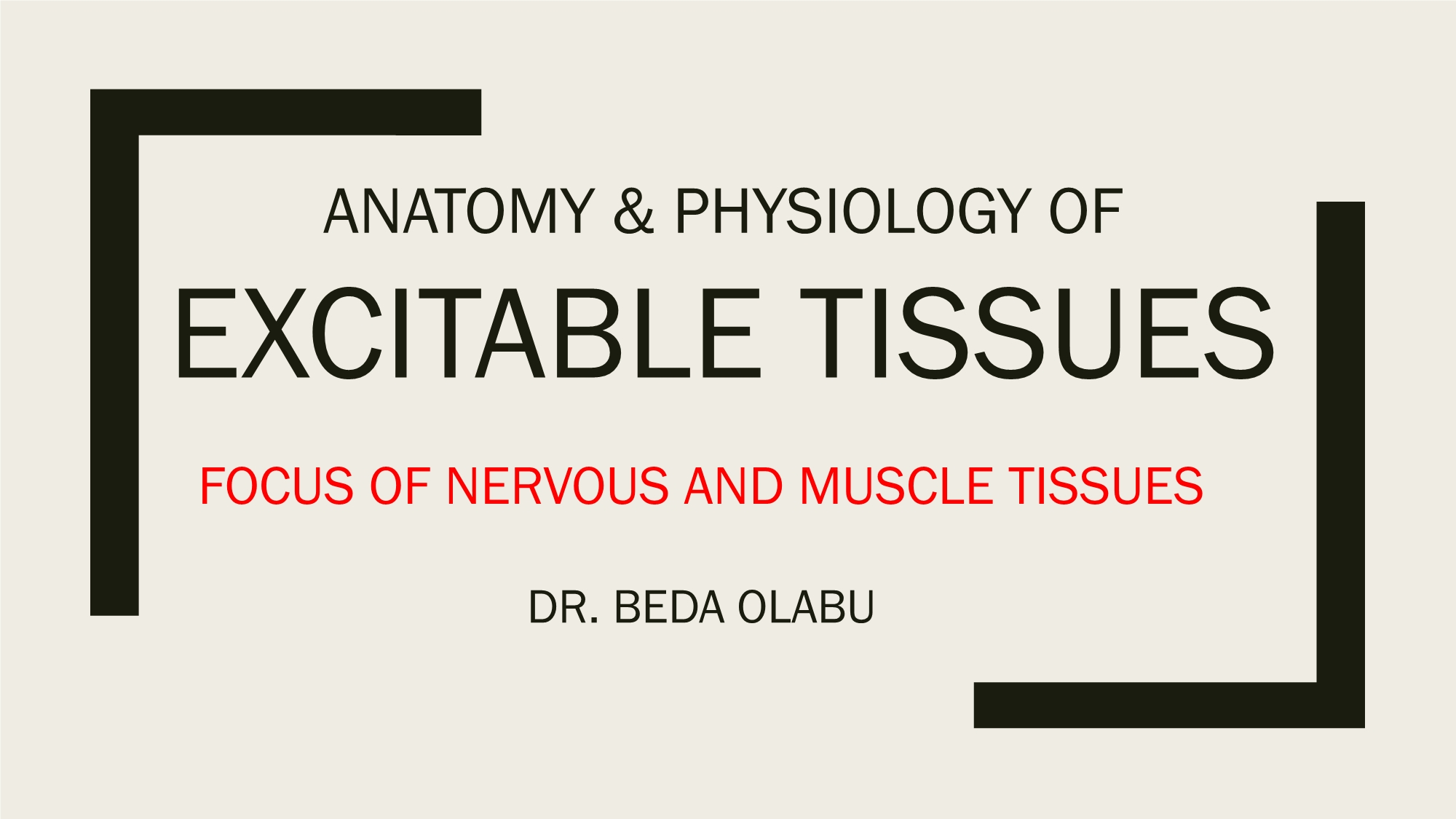 No preview available